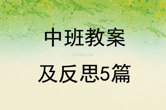 中班教案及反思5篇