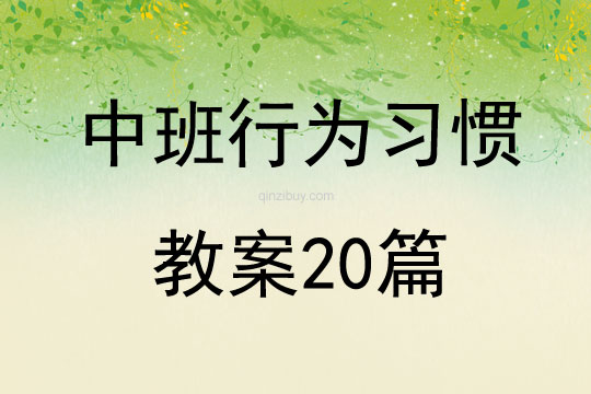 中班行為習慣教案20篇