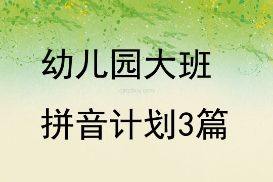 幼兒園大班拼音計劃3篇