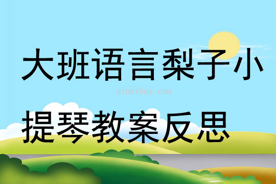 大班語言優質課梨子小提琴教案反思