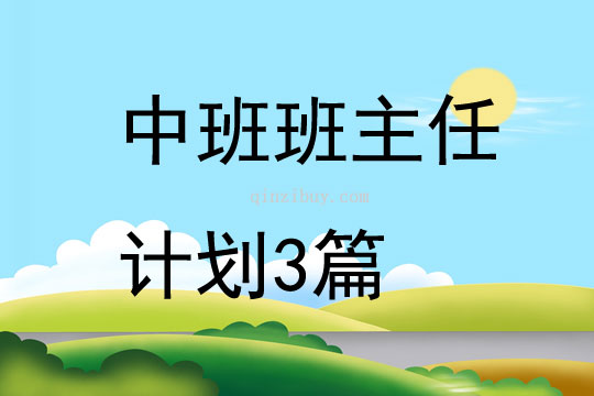 中班班主任計(jì)劃3篇