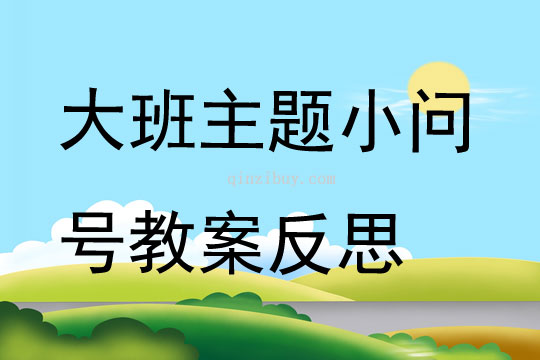 大班主題公開課小問號教案反思