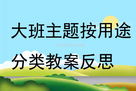 大班主題按用途分類教案反思