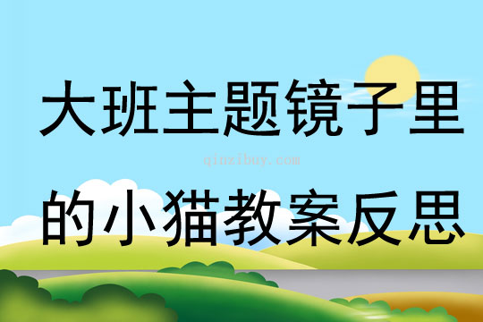 大班主題鏡子里的小貓教案反思