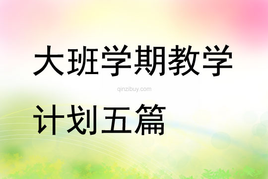大班學期教學計劃五篇