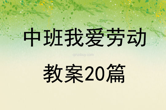 中班我愛勞動教案20篇