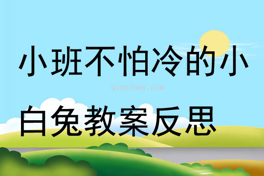 小班語言不怕冷的小白兔教案反思