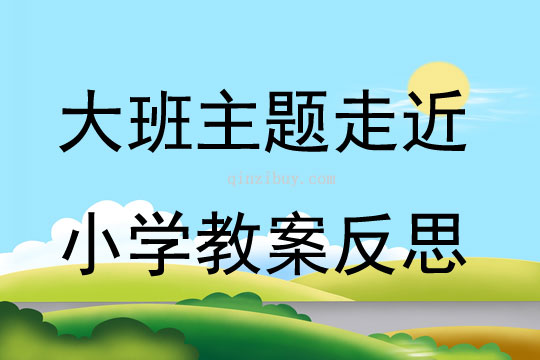 大班主題走近小學(xué)教案反思
