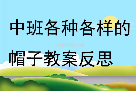 中班主題各種各樣的帽子教案反思