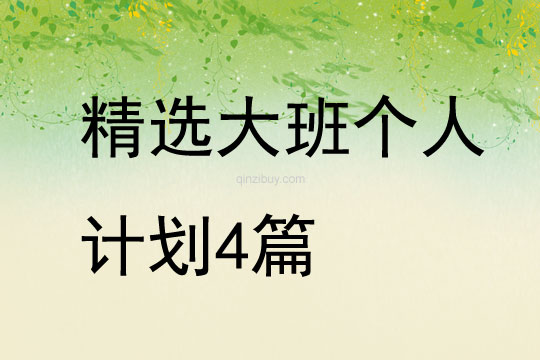 精選大班個人計劃4篇