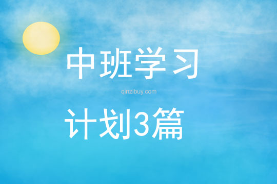 中班學(xué)習(xí)計劃3篇
