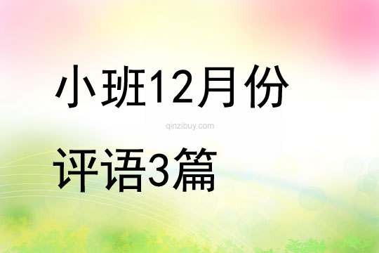 小班12月份評語3篇