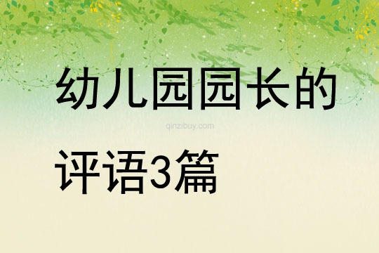 幼兒園園長的評語3篇