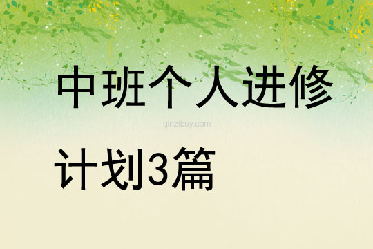 中班個人進修計劃3篇