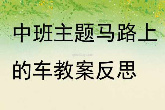 中班主題公開課馬路上的車教案反思