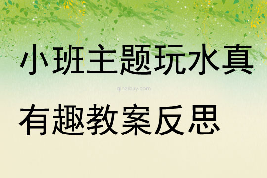 小班主題玩水真有趣教案反思