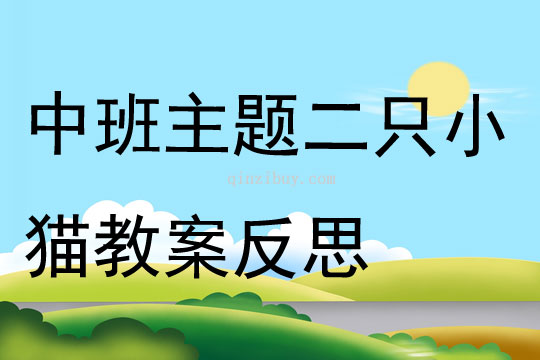 中班主題公開課二只小貓教案反思