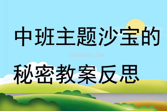 中班主題沙寶的秘密教案反思