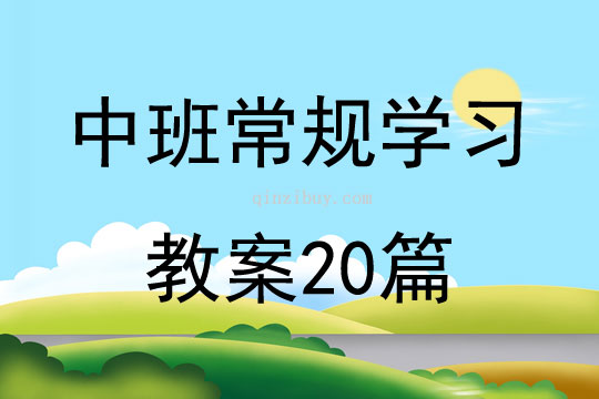 中班常規學習教案20篇