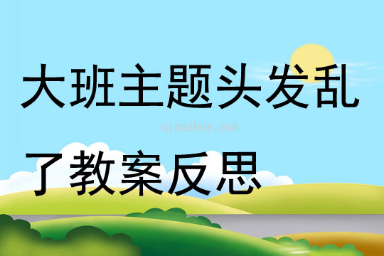 大班主題頭發亂了教案反思