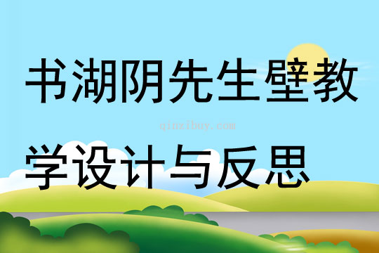 書湖陰先生壁教學設計與反思