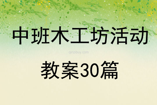 中班木工坊活動(dòng)教案30篇