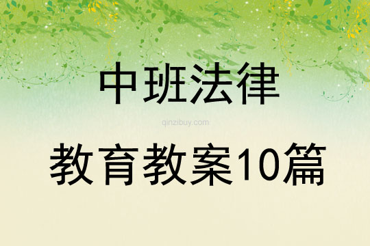 中班法律教育教案10篇