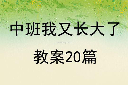 中班我又長大了教案20篇