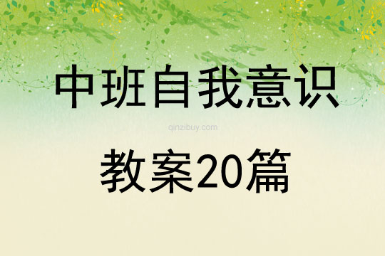 中班自我意識(shí)教案20篇