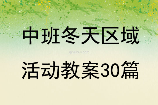 中班冬天區(qū)域活動(dòng)教案30篇