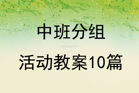 中班分組活動教案10篇