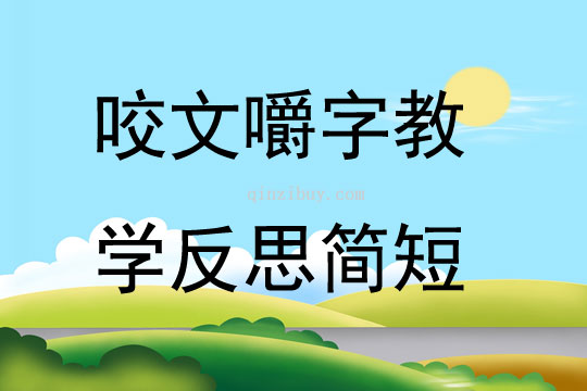 咬文嚼字教學反思簡短