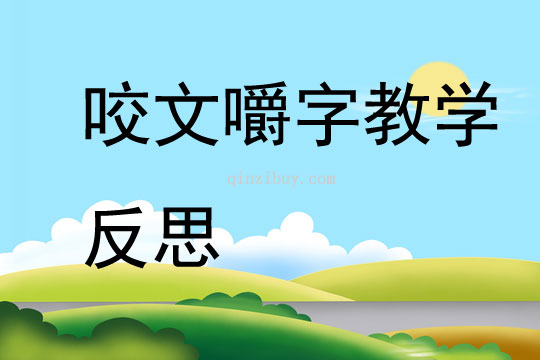 咬文嚼字教學(xué)反思