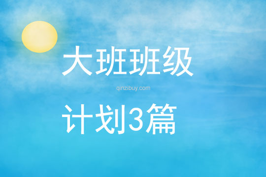 大班班級計(jì)劃3篇