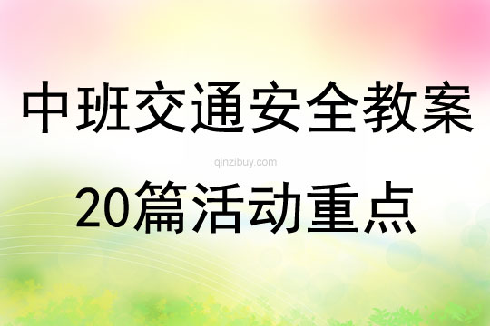 中班交通安全教案20篇活動(dòng)重點(diǎn)