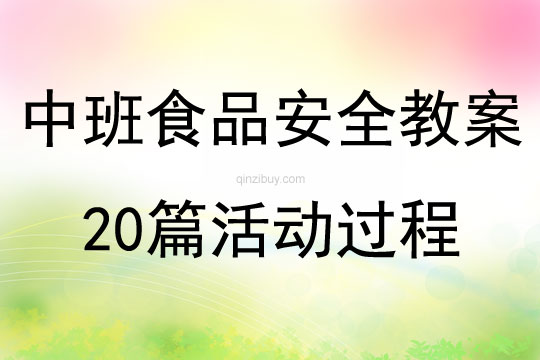 中班食品安全教案20篇活動過程