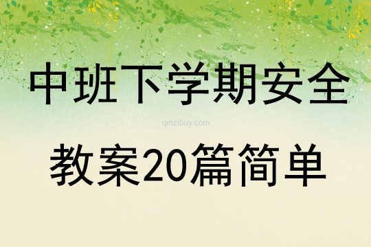 中班下學期安全教案20篇簡單