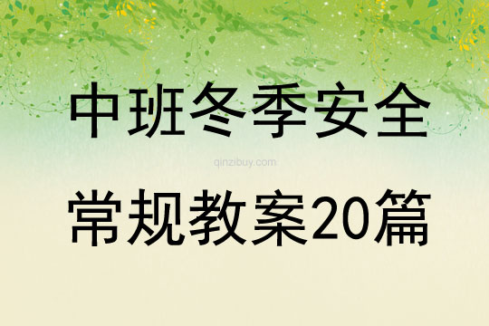 中班冬季安全常規(guī)教案20篇