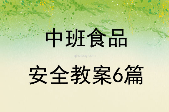 中班食品安全教案6篇