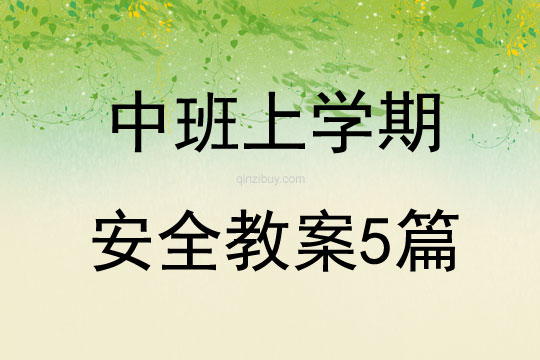 中班上學(xué)期安全教案5篇