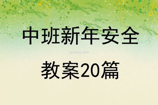中班新年安全教案20篇