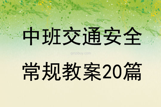 中班交通安全常規(guī)教案20篇