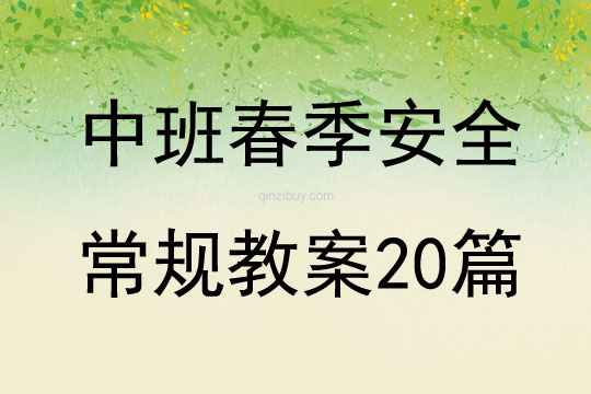 中班春季安全常規(guī)教案20篇