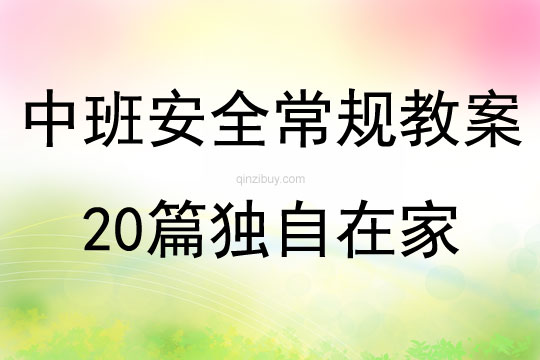 中班安全常規(guī)教案20篇獨(dú)自在家