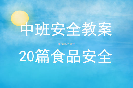 中班安全教案20篇食品安全
