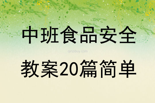 中班食品安全教案20篇簡單