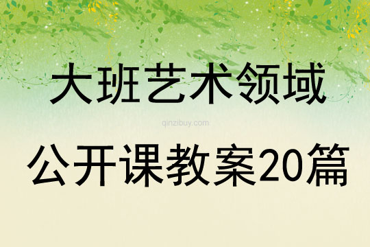 大班藝術領域公開課教案20篇