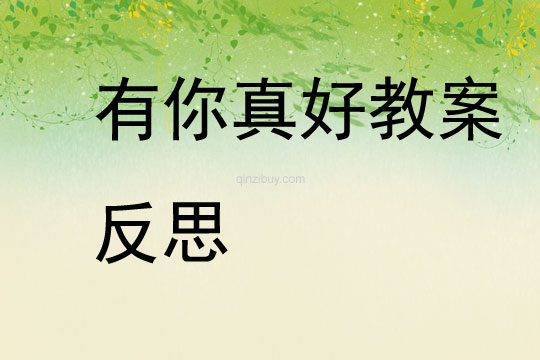 有你真好教案反思