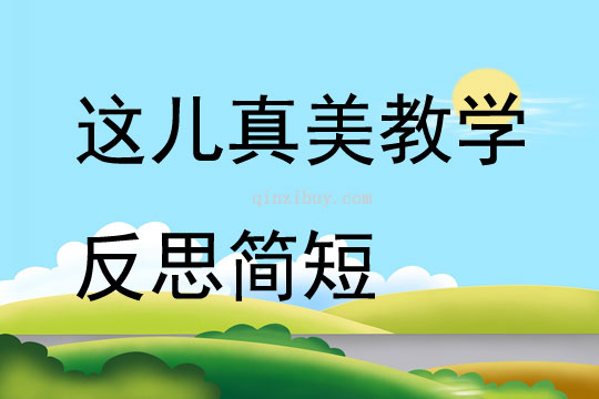這兒真美教學反思簡短