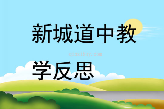 新城道中教學反思